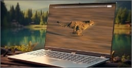 Laptop with image of cheetah website.