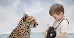 Boy taking picture of cheetah, as if analyzing it.