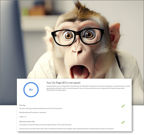 Monkey wearing glasses surprised at his on-site seo score.