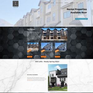 screen shot of the Next Level Homes Project rental projects page