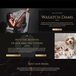 Wasatch Pup Project