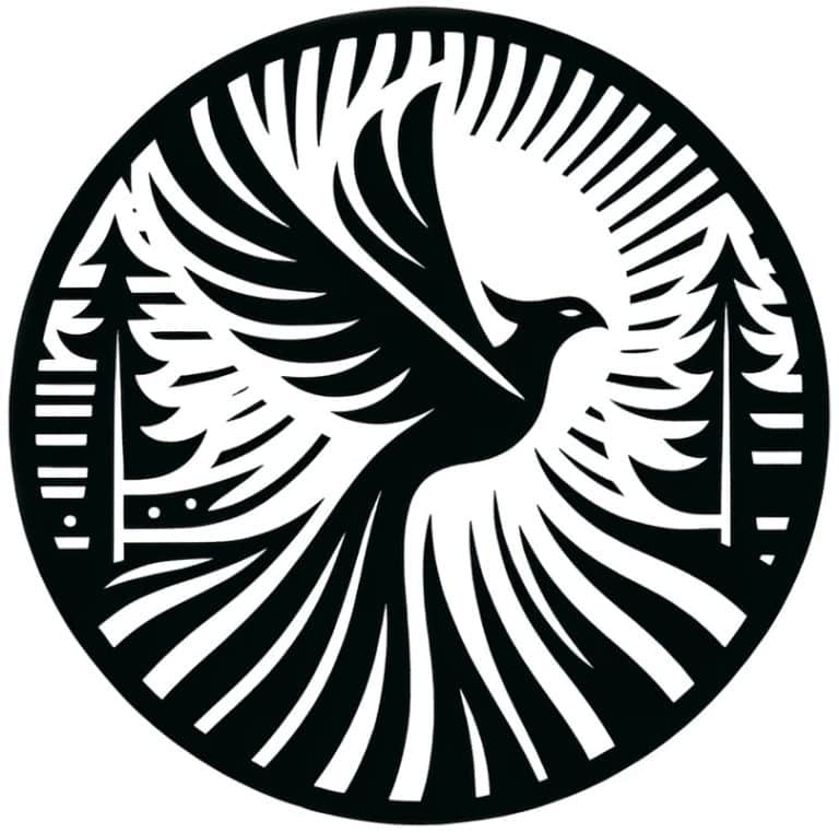 Phoenix to represent rebranding
