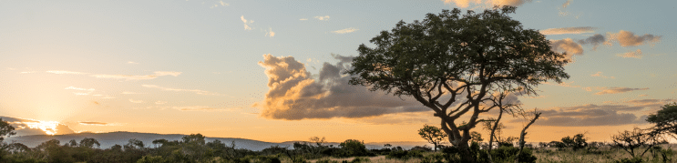 November 2025 Marketing Events