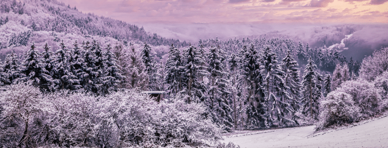 When the snow clears